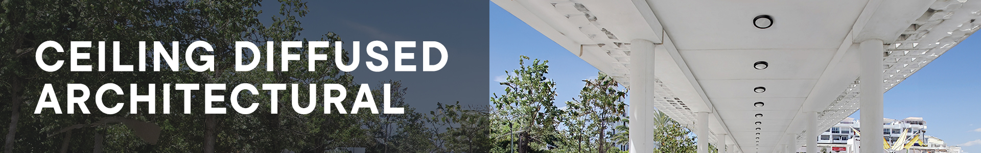Ceiling Diffused Light - Architectural