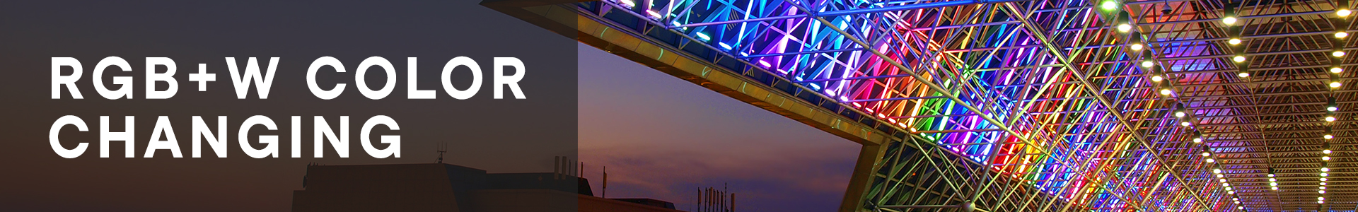 RGB+W Color Changing