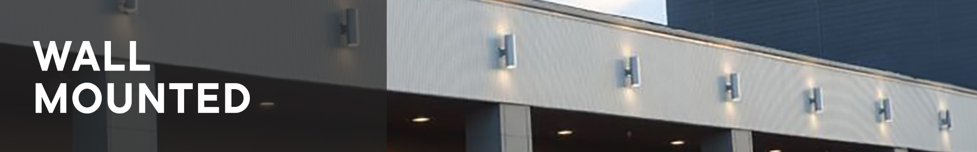 BubblyNet Wall Mounted (WD)