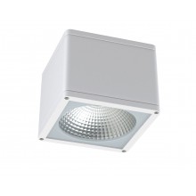 Ceiling/Surface Mount (IP65)