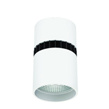 Ceiling Pendant Mount