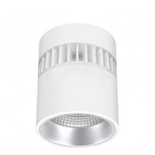 Ceiling/Surface Mount