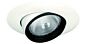 6" PAR30 Adjustable Eyeball w/ Baffle