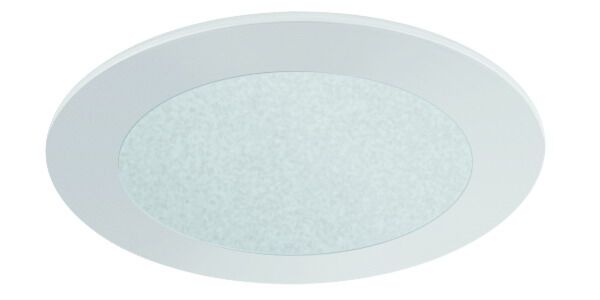 4" FROSTED GLASS (480lm)