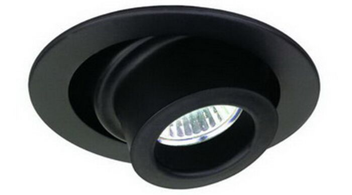 4" MR16 Adjustable Spot