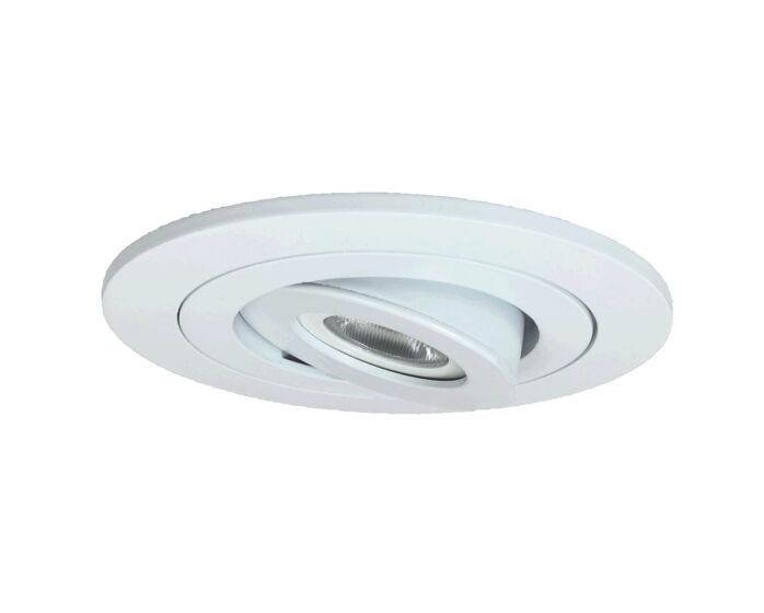 4" LED Gimbal (700lm)