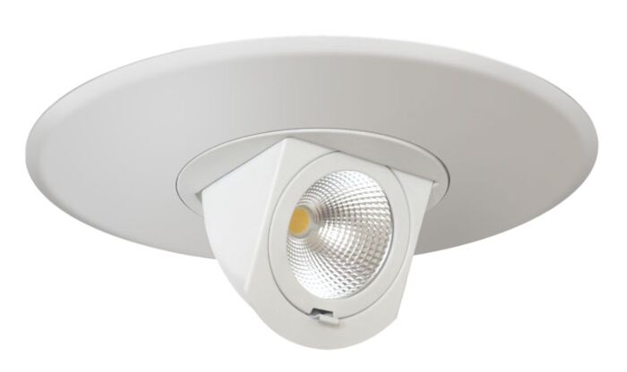 6" LED Adjustable Pull Down (Dimmable)