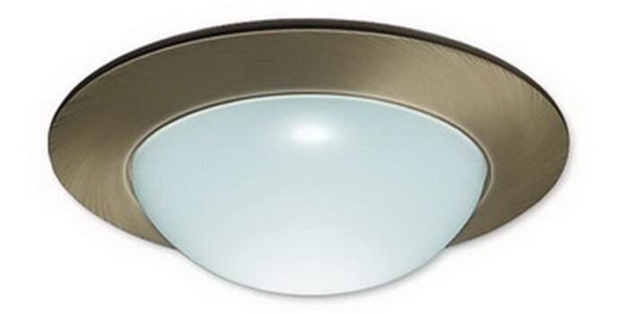 4" MR16 Frosted Glass Dome