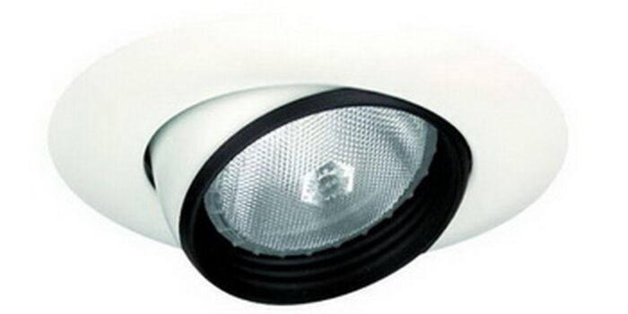 6" PAR30 Adjustable Eyeball w/ Baffle