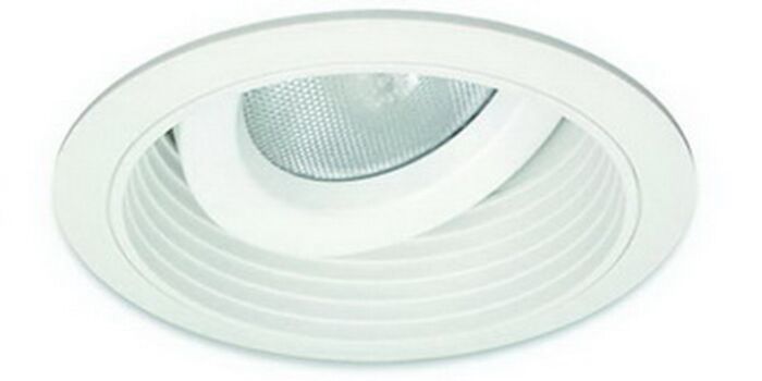 5" PAR30 Adjustable Regressed Gimbal