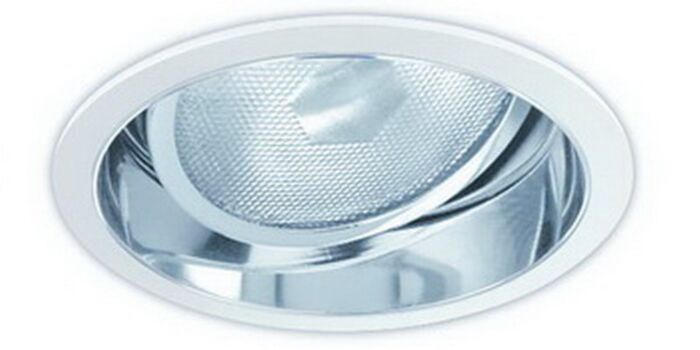 6" PAR30 Adjustable Reflector