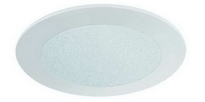 4" MR16 Frosted Glass