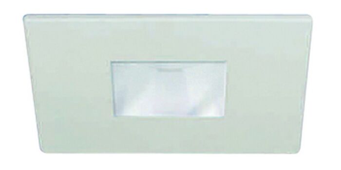 3" MR16 Trim w/ Frosted Lens