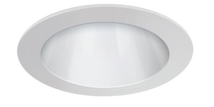 4" Reflector (700lm/1000lm)