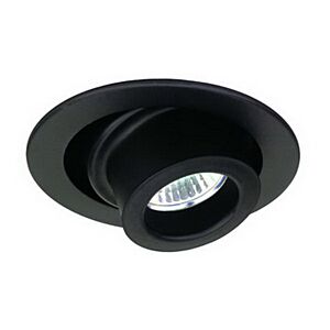 4" MR16 Adjustable Spot