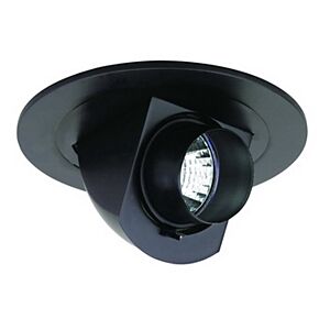 3" MR16 Pull Down w/ Snoot