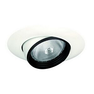 6" PAR30 Adjustable Eyeball w/ Baffle