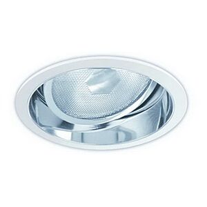 6" PAR30 Adjustable Reflector