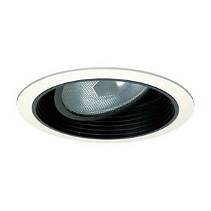 6" PAR38 Adjustable Baffle