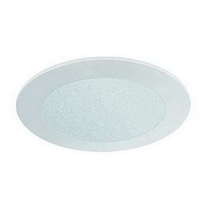 4" MR16 Frosted Glass