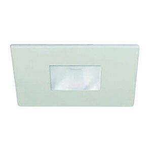 3" MR16 Trim w/ Frosted Lens