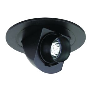 4" MR16 Adjustable Pull Down w/ Snoot