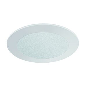 4" FROSTED GLASS (480lm)