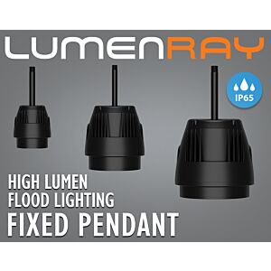 High Lumen Fixed Pendant