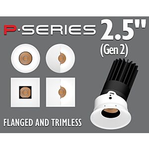 2.5" Gen 2 P-Series Round and Square - Flanged and Trimless
