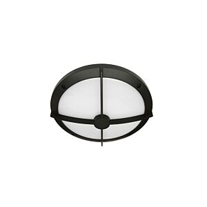 10" Round Bulls-Eye Ceiling Surface Luminaire