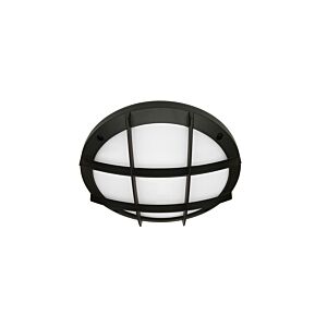 10" Round Cross Bar Ceiling Surface Luminaire