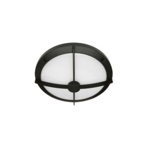 14" Round Bulls-Eye Ceiling Luminaire