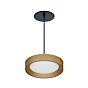 7" Round Bevel LumenPad Pendant Mount 1400lm (14W)