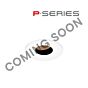 2.5" Gen 2 P-Series Round Adjustable Pinhole Flanged Vandal Resistant 1000LM-2400LM (15W-22W)
