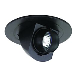 Adjustable Pull Down w/ Snoot