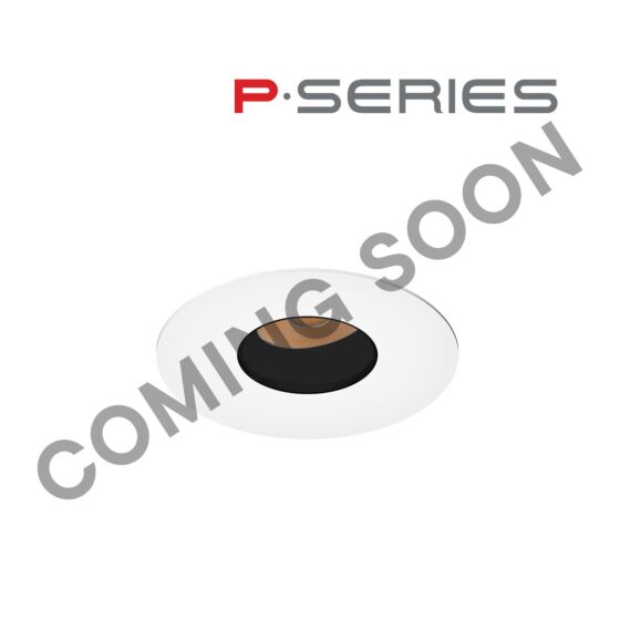 3.5" P-Series Round Adjustable Pinhole Flanged Vandal Resistant 600LM-3000LM (7W-30W)