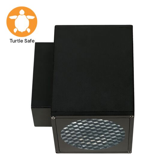 6" Square 1-Direction Wall Mount (IP65) - Amber (Turtle Safe)