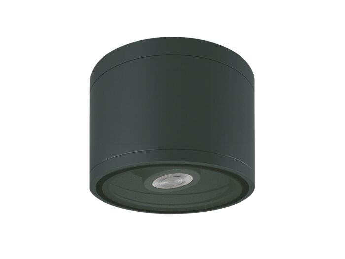 6" Round Adjustable Ceiling Downlight (IP65) 700lm (10W)