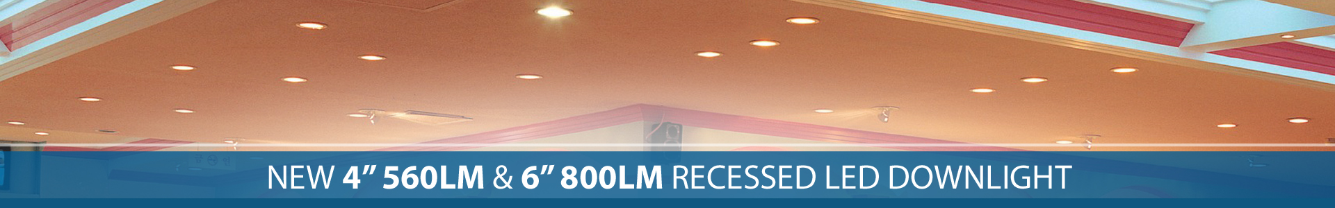 4" & 6" Economy Series