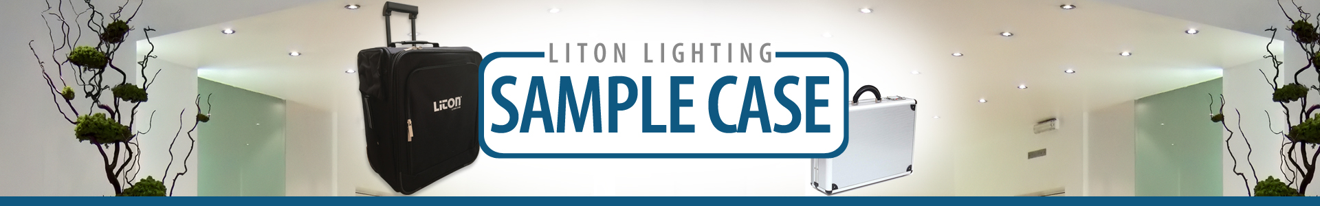 4" C • Series Downlight Sample Case