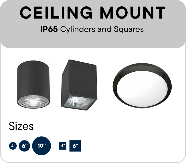 Ceiling Mount